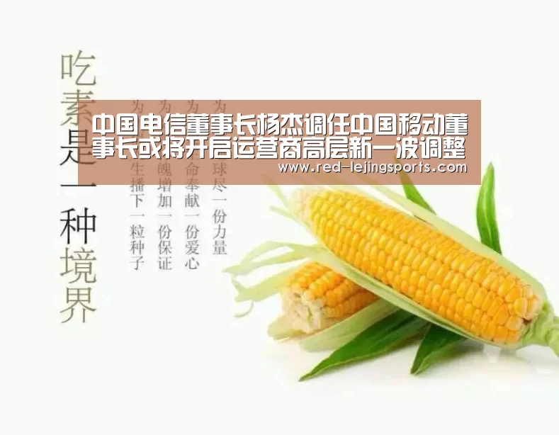 中国电信董事长杨杰调任中国移动董事长或将开启运营商高层新一波调整_乐竟棋牌(图3) 乐竟