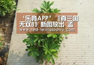 ‘乐竟APP’《真三国无双8》新图放出 孟获祝融夫妇等人登场(图4) 乐竟