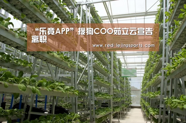 “乐竟APP”搜狗COO茹立云宣告离职(图2) 乐竟体育官方