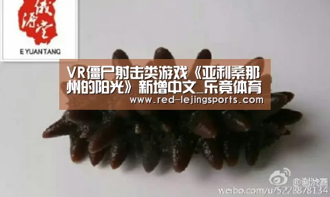 VR僵尸射击类游戏《亚利桑那州的阳光》新增中文_乐竟体育官方(图3) 乐竟